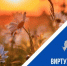 Всероссийский проект этнокультурных выставочных проектов «Виртуальный тур по многонациональной России» - Кумторкалинский район